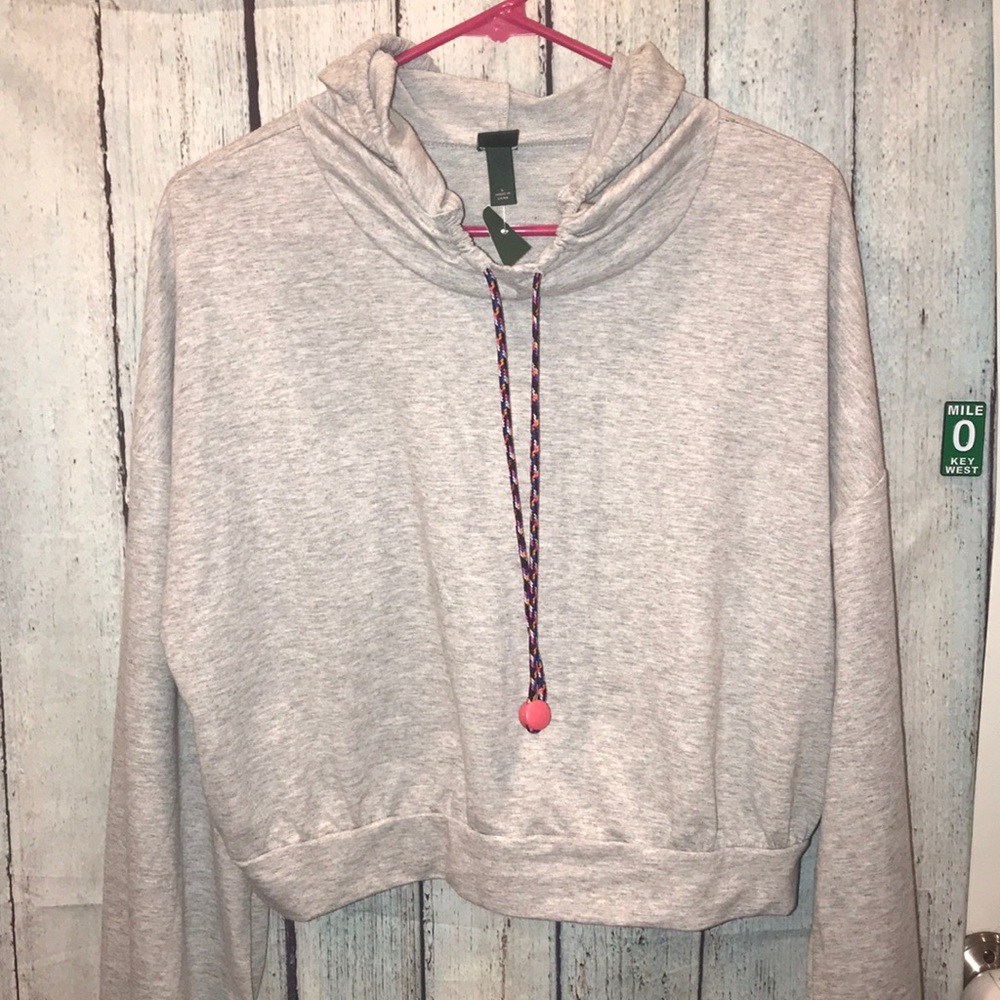 NWT Large Wild Fable crop gray hoodie